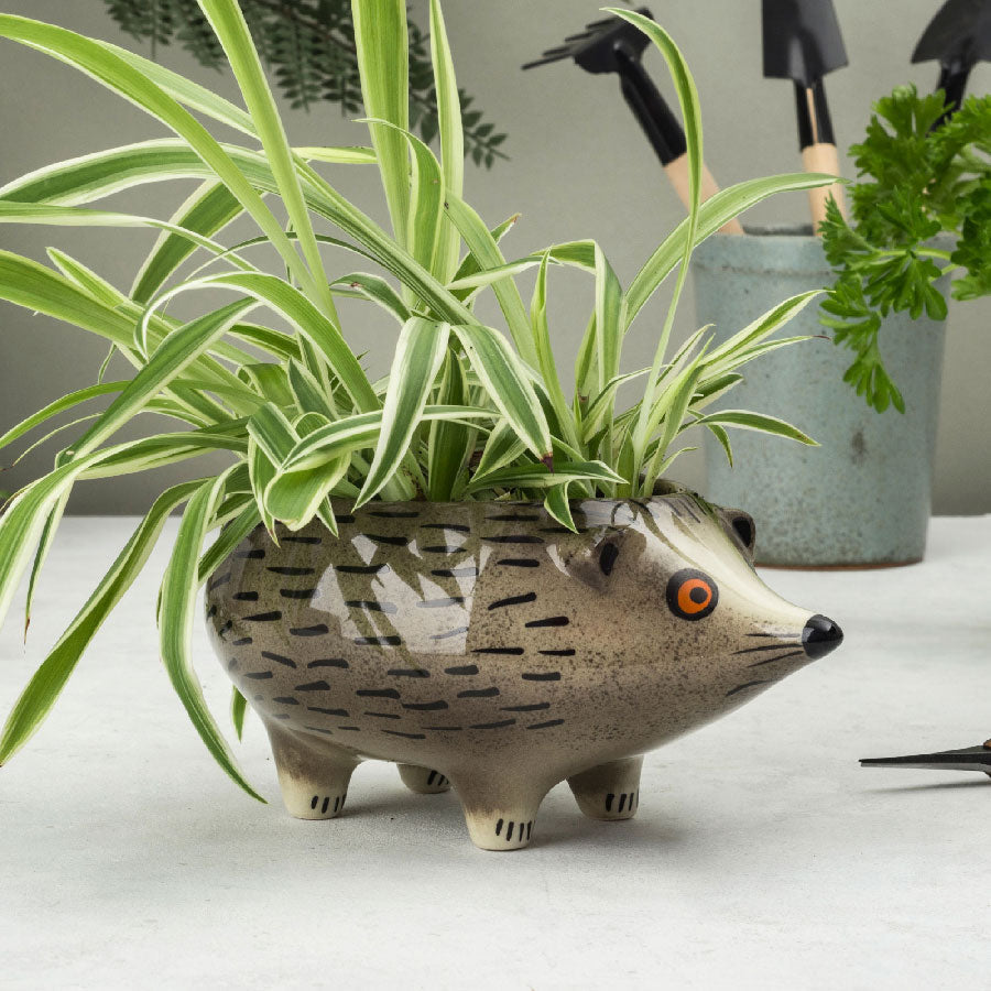 Jardinière Hérisson
