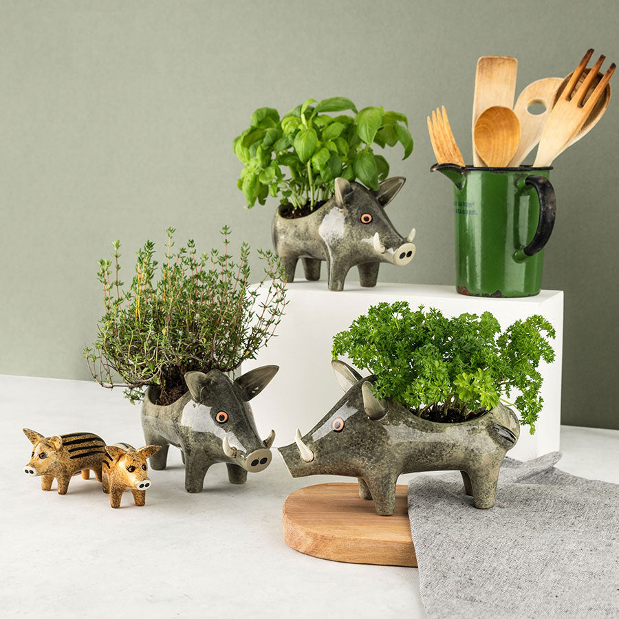 Jardinière Sanglier
